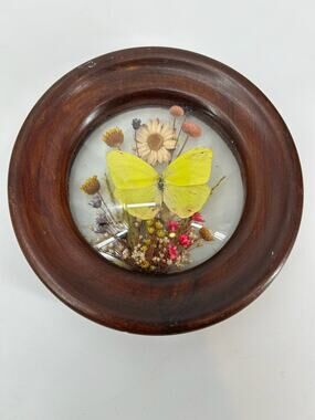 Wood Round Frame Butterfly Dried Flower Glass Gallery Wall Art VTG Boho Brazilia